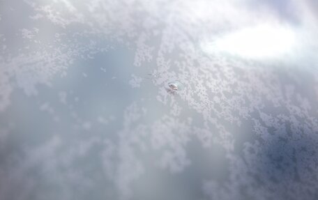 KIA Sportage IV рестайлинг, 2017 год, 1 850 000 рублей, 15 фотография