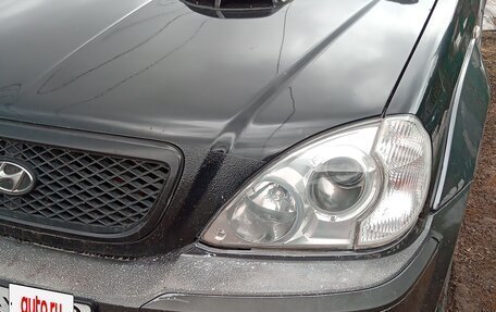 Hyundai Terracan I, 2003 год, 700 000 рублей, 17 фотография