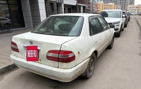 Toyota Corolla, 1999 год, 255 000 рублей, 7 фотография