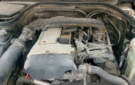 Mercedes-Benz C-Класс, 1999 год, 185 000 рублей, 3 фотография