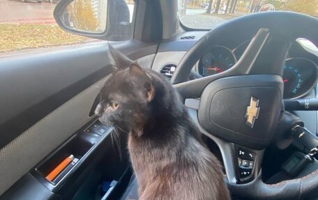 Chevrolet Cruze II, 2014 год, 650 000 рублей, 9 фотография