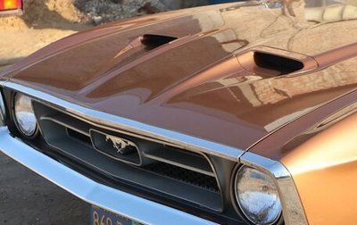 Ford Mustang VI рестайлинг, 1971 год, 13 000 000 рублей, 1 фотография