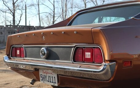 Ford Mustang VI рестайлинг, 1971 год, 13 000 000 рублей, 13 фотография