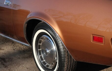 Ford Mustang VI рестайлинг, 1971 год, 13 000 000 рублей, 4 фотография