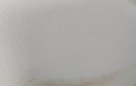 Chevrolet Express II, 2009 год, 1 700 000 рублей, 11 фотография