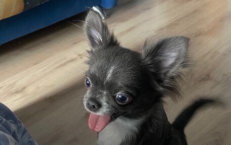 Hyundai Accent II, 2004 год, 200 000 рублей, 6 фотография