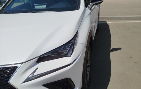 Lexus NX I, 2019 год, 3 850 000 рублей, 3 фотография