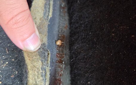 Ford Focus III, 2011 год, 485 000 рублей, 12 фотография