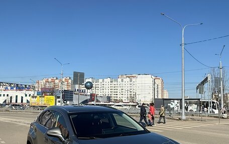 Lexus NX I, 2019 год, 4 150 000 рублей, 13 фотография