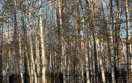 Toyota Chaser IV, 1996 год, 580 000 рублей, 14 фотография