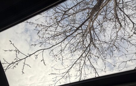 Mercedes-Benz CLS, 2004 год, 1 050 000 рублей, 6 фотография