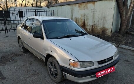 Toyota Corolla, 1996 год, 350 000 рублей, 2 фотография
