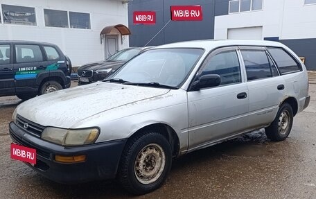 Toyota Corolla, 1999 год, 190 000 рублей, 1 фотография
