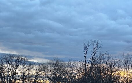 KIA Sorento IV, 2006 год, 850 000 рублей, 1 фотография