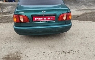 Toyota Corolla, 1998 год, 300 000 рублей, 1 фотография