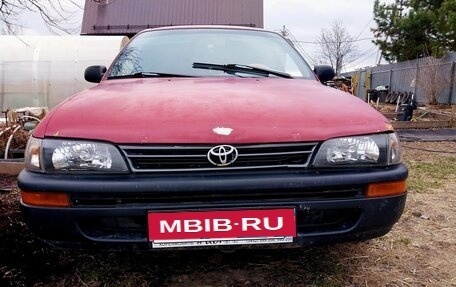 Toyota Corolla, 1995 год, 280 000 рублей, 1 фотография