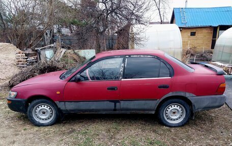 Toyota Corolla, 1995 год, 280 000 рублей, 3 фотография