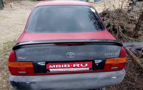 Toyota Corolla, 1995 год, 280 000 рублей, 2 фотография