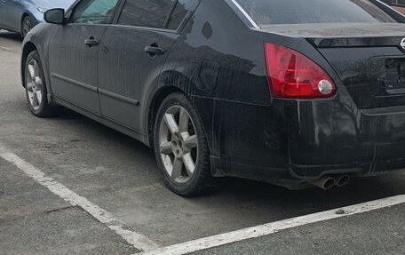 Nissan Maxima VIII, 2004 год, 520 000 рублей, 13 фотография