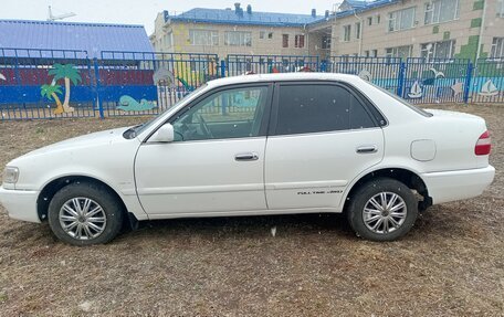 Toyota Corolla, 1999 год, 350 000 рублей, 5 фотография