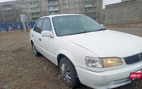 Toyota Corolla, 1999 год, 350 000 рублей, 3 фотография