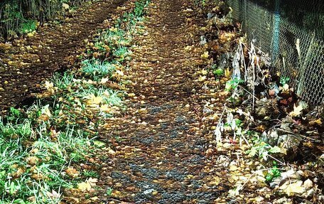 Toyota Camry, 2008 год, 840 000 рублей, 17 фотография