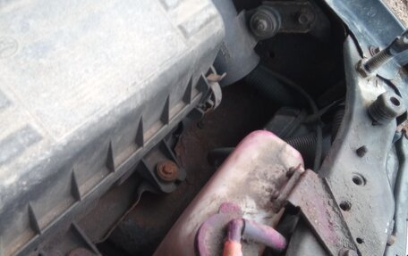 Great Wall Safe, 2008 год, 175 000 рублей, 38 фотография