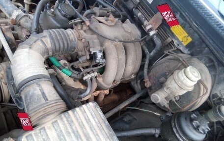 Great Wall Safe, 2008 год, 175 000 рублей, 40 фотография