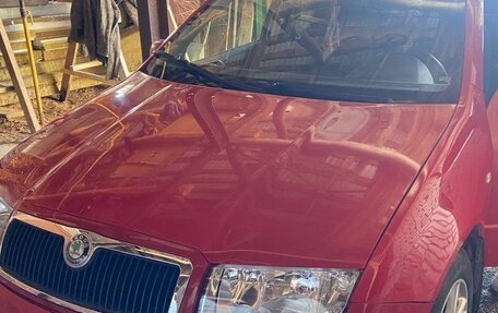 Skoda Fabia I, 2007 год, 360 000 рублей, 1 фотография