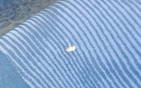 Renault Logan I, 2014 год, 360 000 рублей, 11 фотография