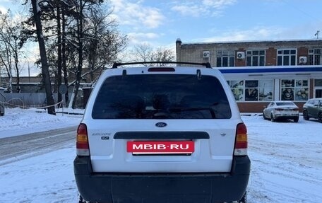 Ford Escape II, 2005 год, 520 000 рублей, 3 фотография