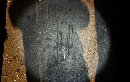 Land Rover Range Rover Evoque I, 2012 год, 1 850 000 рублей, 12 фотография