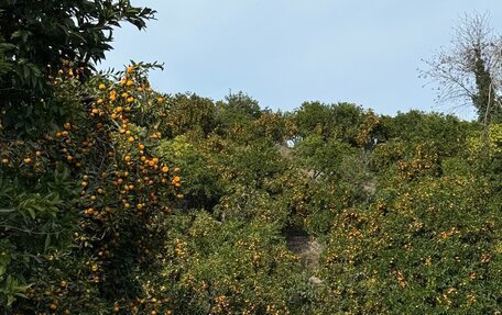 Nissan Patrol, 1998 год, 2 350 000 рублей, 30 фотография