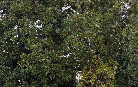 Nissan Patrol, 1998 год, 2 350 000 рублей, 26 фотография