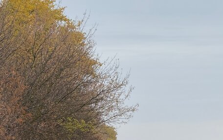 Nissan Patrol, 1998 год, 2 350 000 рублей, 23 фотография