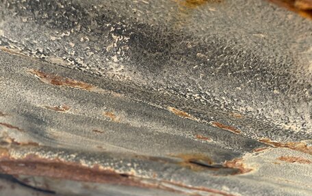 Toyota Sprinter Marino, 1993 год, 160 000 рублей, 15 фотография