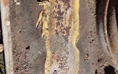 Москвич 2141, 1998 год, 35 000 рублей, 6 фотография