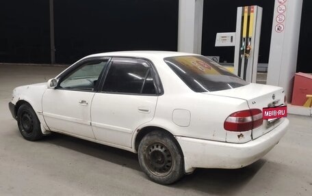 Toyota Corolla, 1999 год, 135 000 рублей, 5 фотография