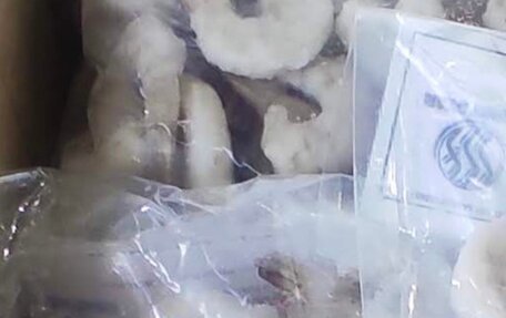 Renault Logan I, 2008 год, 500 000 рублей, 3 фотография