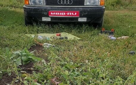 Audi 80, 1987 год, 220 000 рублей, 1 фотография