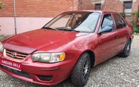 Toyota Corolla, 1999 год, 385 000 рублей, 1 фотография