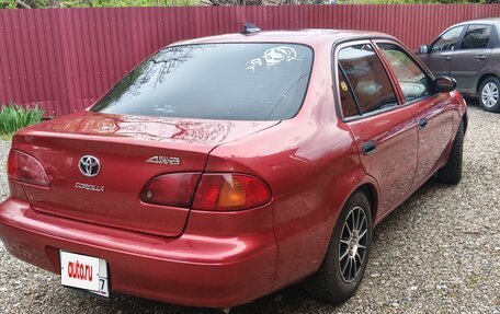 Toyota Corolla, 1999 год, 385 000 рублей, 3 фотография