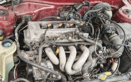 Toyota Corolla, 1999 год, 385 000 рублей, 10 фотография