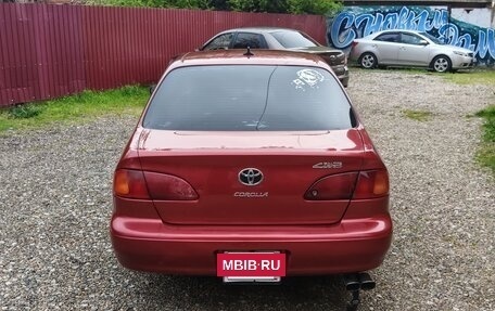 Toyota Corolla, 1999 год, 385 000 рублей, 5 фотография