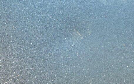 Renault Sandero II рестайлинг, 2021 год, 1 650 000 рублей, 24 фотография