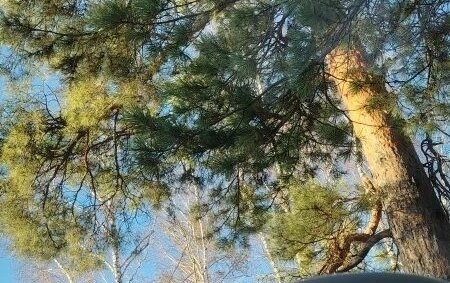 Peugeot 308 II, 2010 год, 700 000 рублей, 4 фотография