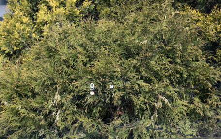 Haval F7, 2026 год, 3 699 000 рублей, 25 фотография