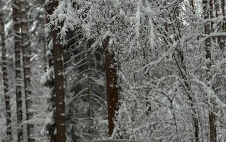 Volkswagen Passat CC I рестайлинг, 2009 год, 980 000 рублей, 11 фотография