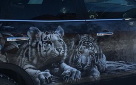 Mazda CX-9 I рестайлинг, 2008 год, 1 400 000 рублей, 2 фотография