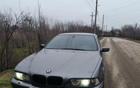 BMW 5 серия, 2002 год, 1 000 000 рублей, 3 фотография